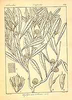  no thumbnail available