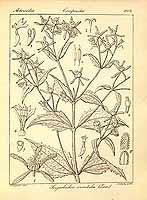  no thumbnail available