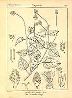  no thumbnail available