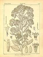  no thumbnail available