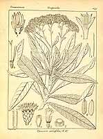  no thumbnail available