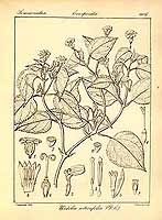  no thumbnail available