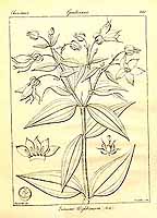  no thumbnail available