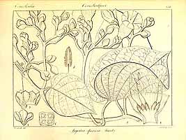  no thumbnail available