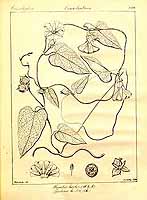  no thumbnail available