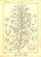  no thumbnail available