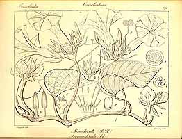  no thumbnail available