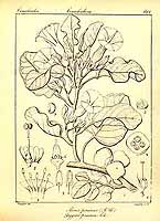  no thumbnail available