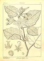  no thumbnail available