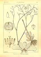  no thumbnail available