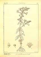  no thumbnail available