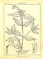  no thumbnail available