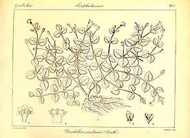  no thumbnail available