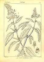  no thumbnail available