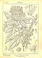  no thumbnail available