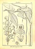  no thumbnail available