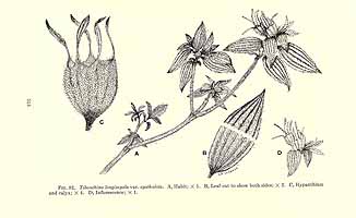  no thumbnail available