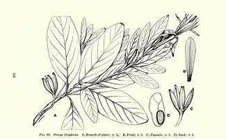  no thumbnail available