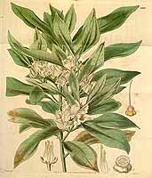  no thumbnail available