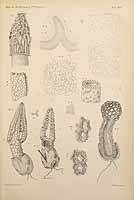  no thumbnail available