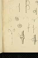  no thumbnail available