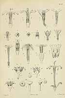  no thumbnail available