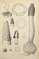  no thumbnail available