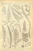  no thumbnail available