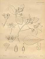  no thumbnail available