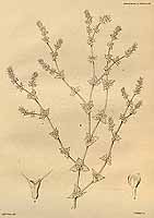  no thumbnail available