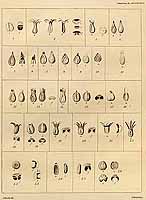  no thumbnail available