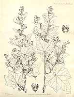  no thumbnail available