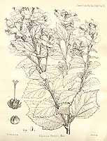  no thumbnail available