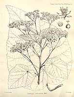  no thumbnail available