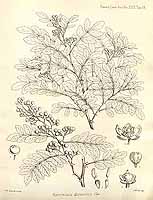  no thumbnail available