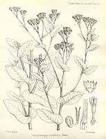  no thumbnail available