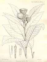  no thumbnail available