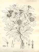  no thumbnail available