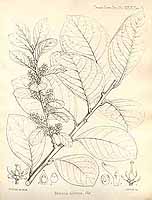  no thumbnail available