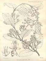  no thumbnail available