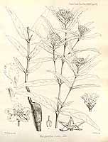  no thumbnail available