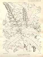  no thumbnail available