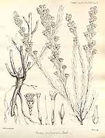  no thumbnail available