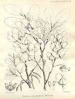  no thumbnail available