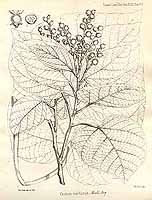  no thumbnail available