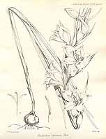  no thumbnail available