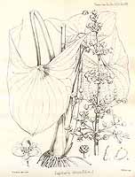  no thumbnail available