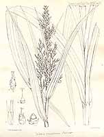  no thumbnail available