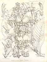  no thumbnail available