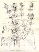  no thumbnail available